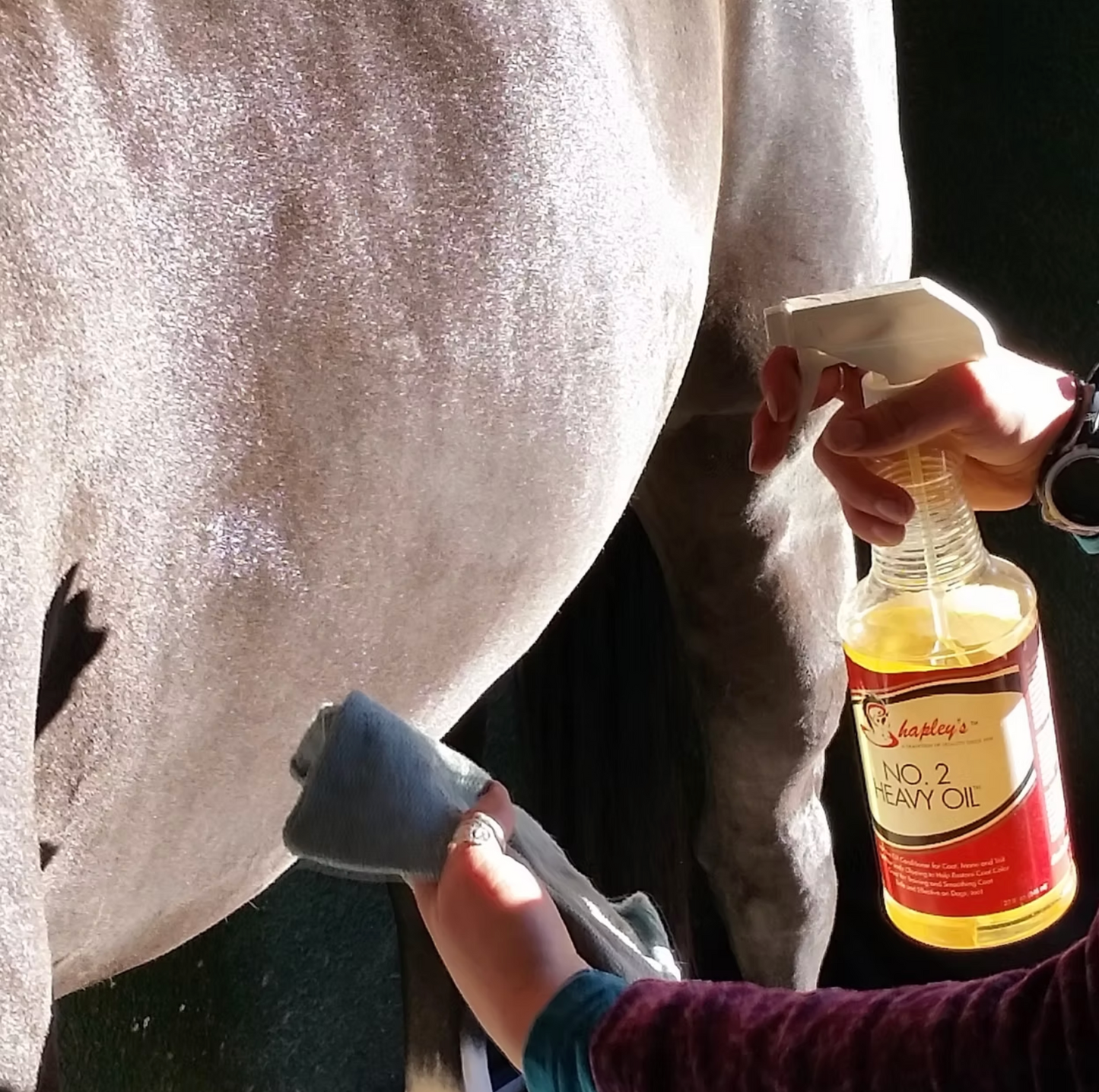 Hverdags grooming pakke