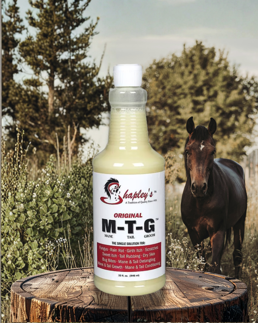 Shapley's Original M-T-G