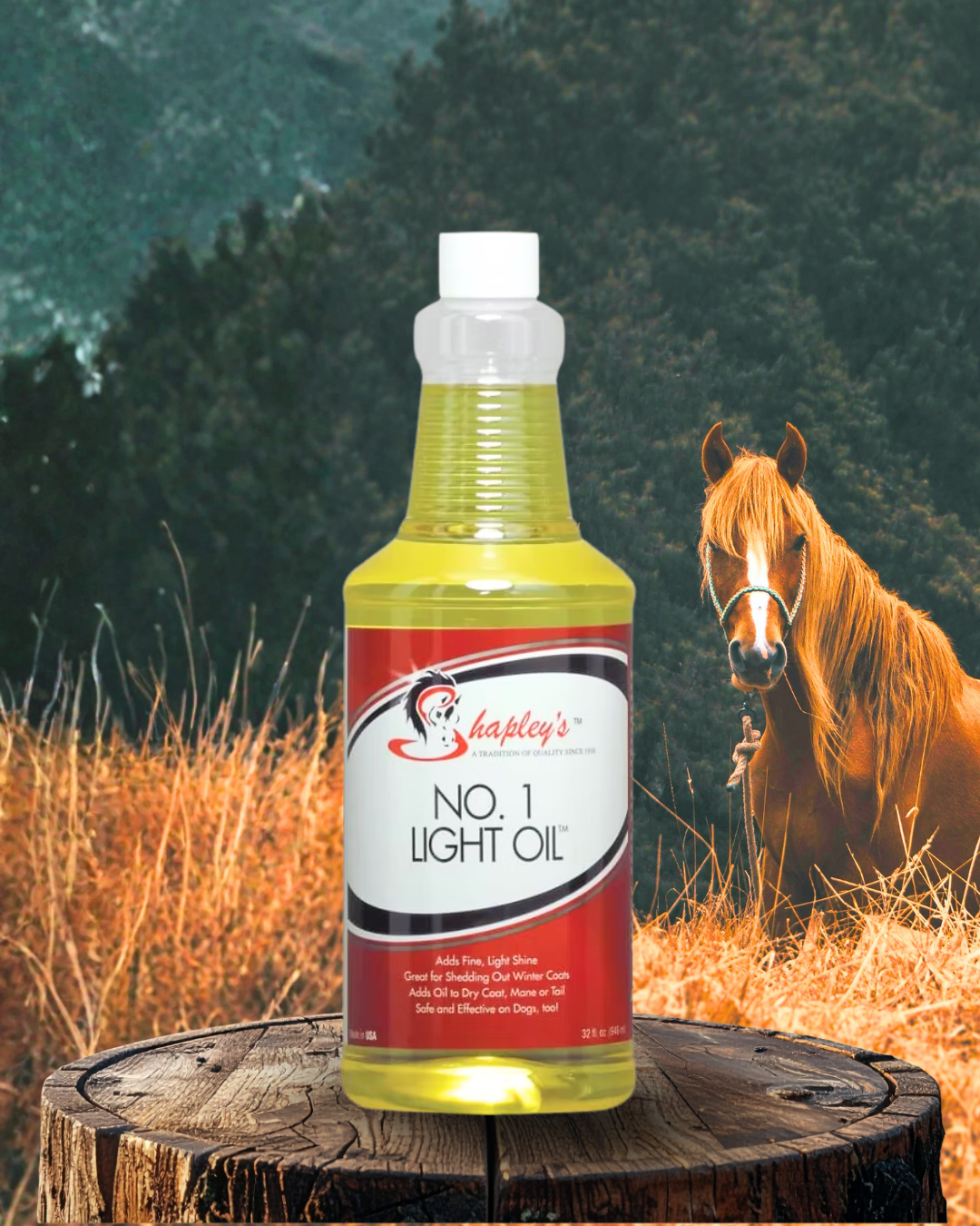 Shapley’s No. 1 Light Oil