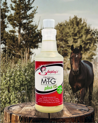 Shapley's Original M-T-G Plus
