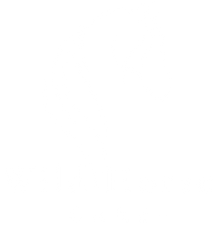 Wild Horse Care